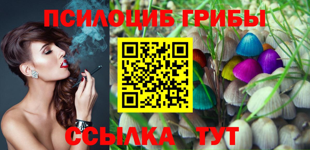 Псилоцибиновые грибы Psilocybine cubensis Владивосток